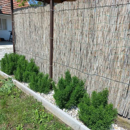 Hébergement de vacances Dézsa-vü Sarud