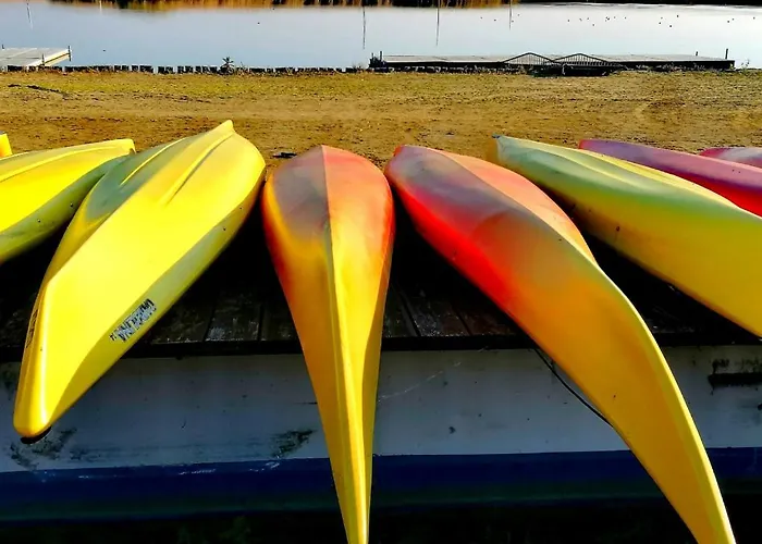 Dezsa-vue Vendeghaz * Sarud