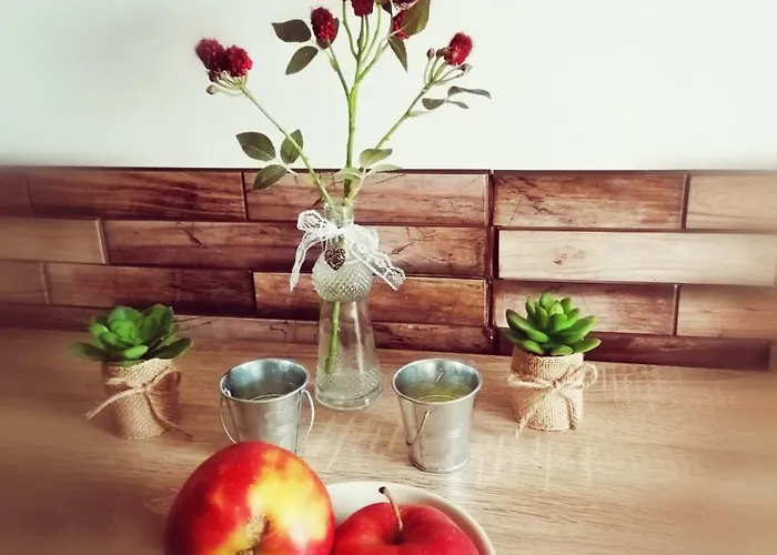 Dezsa-vue Vendeghaz Feriehus *