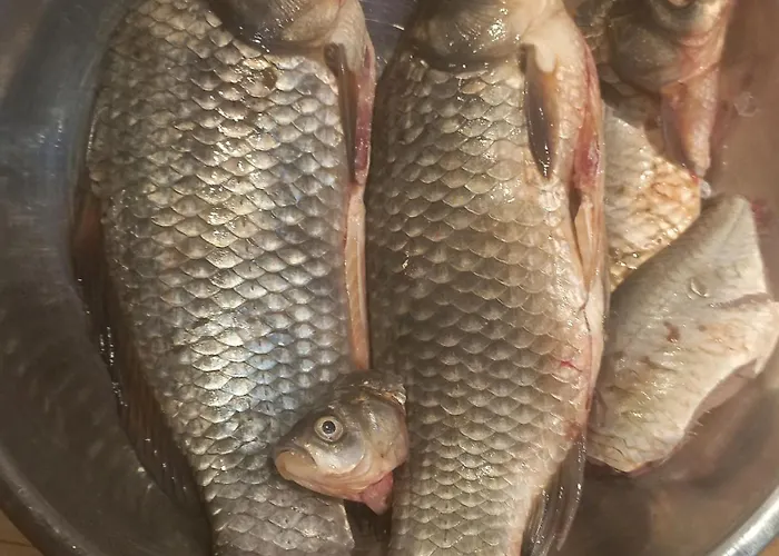 Dezsa-vue Vendeghaz *